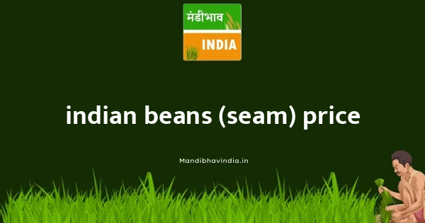 Indian Beans (Seam) भाव